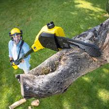 Best Aeration Services  in Santa Ana, CA